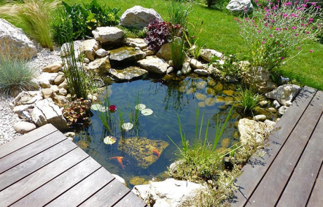 bassin-naturel-en-bordure-de-terrasse-bois