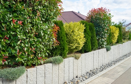 mur-palissade-granit-haie-persistante-min